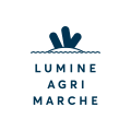 LUMINE AGRI PROJECT